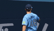 Blue Jays Yes GIF by Toronto Blue Jays