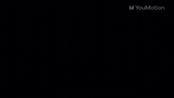 Followers Subscribe Typography | Video |You Motion
