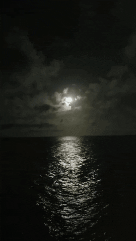 Simongip giphyupload GIF