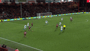 GIF by AFC Bournemouth