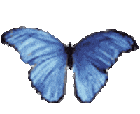 jennifer lien part STICKER
