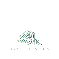Realestate Sticker by Island House Real Estate