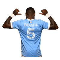 New York City Fc Reaction Sticker by NYCFC