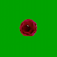 art loop GIF by kidmograph