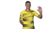 happy borussia dortmund Sticker by Bundesliga