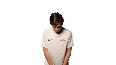 Guus Van Loon Sticker by Slamstox