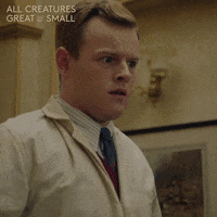 allcreaturestv animals escape hide run away GIF