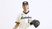 Ncaa Baseball Celebration GIF by Purdue Fort Wayne Athletics