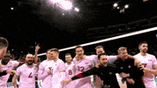 GIF by Volleyball World