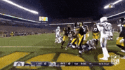 2018 Nfl Football GIF by NFL