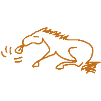 Horse No Sticker by Parelli Natural Horsemanship