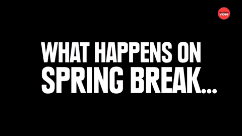 Spring Break Drinking GIF by BuzzFeed