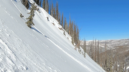 Party Snowboarding GIF by Elevated Locals