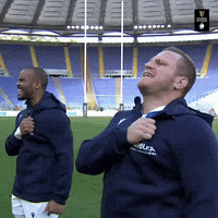 Go On Rugby GIF by Guinness Six Nations