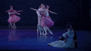 Nutcracker GIF by English National Ballet