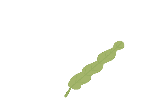 Plant Sticker