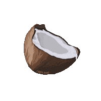 shakatribe yummy hawaii drip coconut Sticker