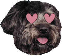 In Love Hearts Sticker