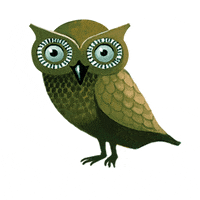growthrocks travel shop sea owl GIF