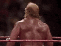 Hulk Hogan Sport GIF by WWE