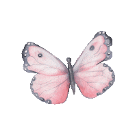 Butterfly Sticker by Little Rae Prints