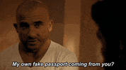 lincoln burrows fox GIF by Prison Break