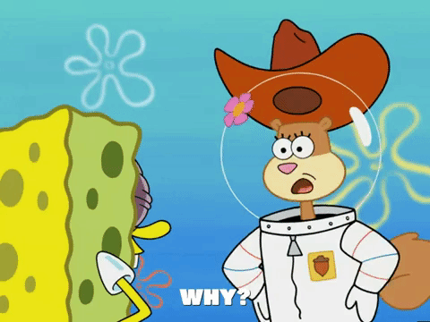 season 5 blackened sponge GIF by SpongeBob SquarePants