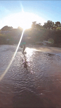 NewEverything  GIF