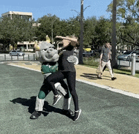 Usf Bulls College GIF by University of South Florida