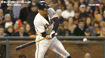 baseball ball GIF