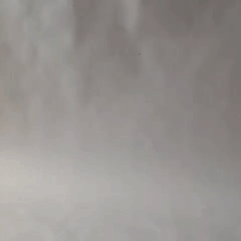 magic apple GIF by cintascotch