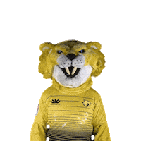 Surprised Scratch Sticker by Houston SaberCats Rugby