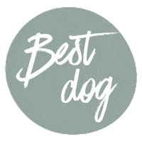 Dog Puppy Sticker by Poppy + Ted