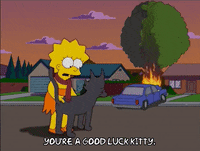 lisa simpson good luck GIF