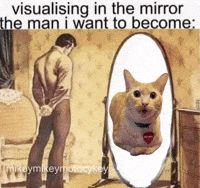 Man In The Mirror GIF