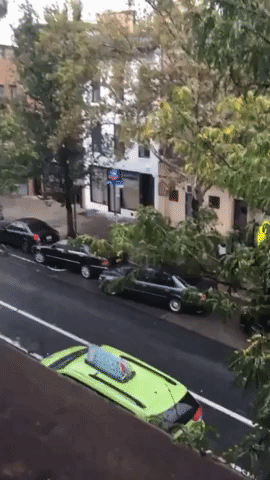 Video Shows NYPD Apprehend Suspect