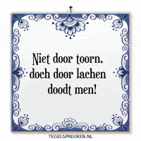 Humor Nl GIF by Tegelspreuken.nl