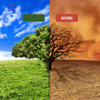 Climate Change Tech GIF by Maria Johnsen