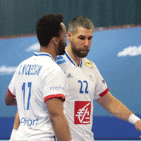 Ffhandball GIF by Fédération Française de Handball
