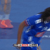 Ffhandball GIF by Fédération Française de Handball