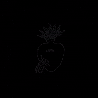 Love Is War GIF