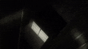 Friends Walking GIF