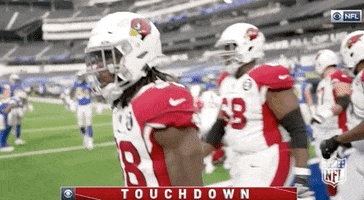 Regular Season Football GIF by NFL