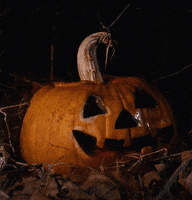 Trick Or Treat Halloween GIF by Hunter Preston