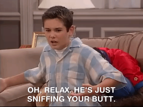 the amanda show nicksplat GIF