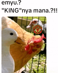 Manchester United Mu GIF