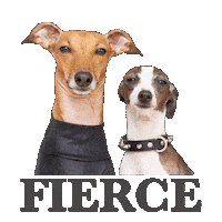 Italian Greyhound Fashion Sticker