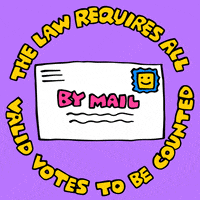 Voting Rights GIF by INTO ACTION
