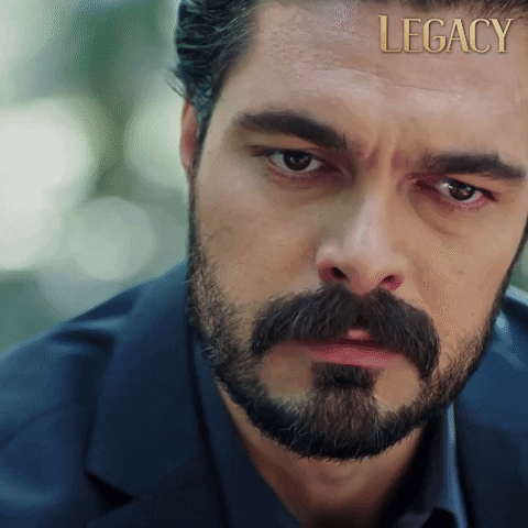 Legacy Emanet GIF by Eccho Rights