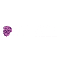 Blackberry Sticker by Berries Paradise